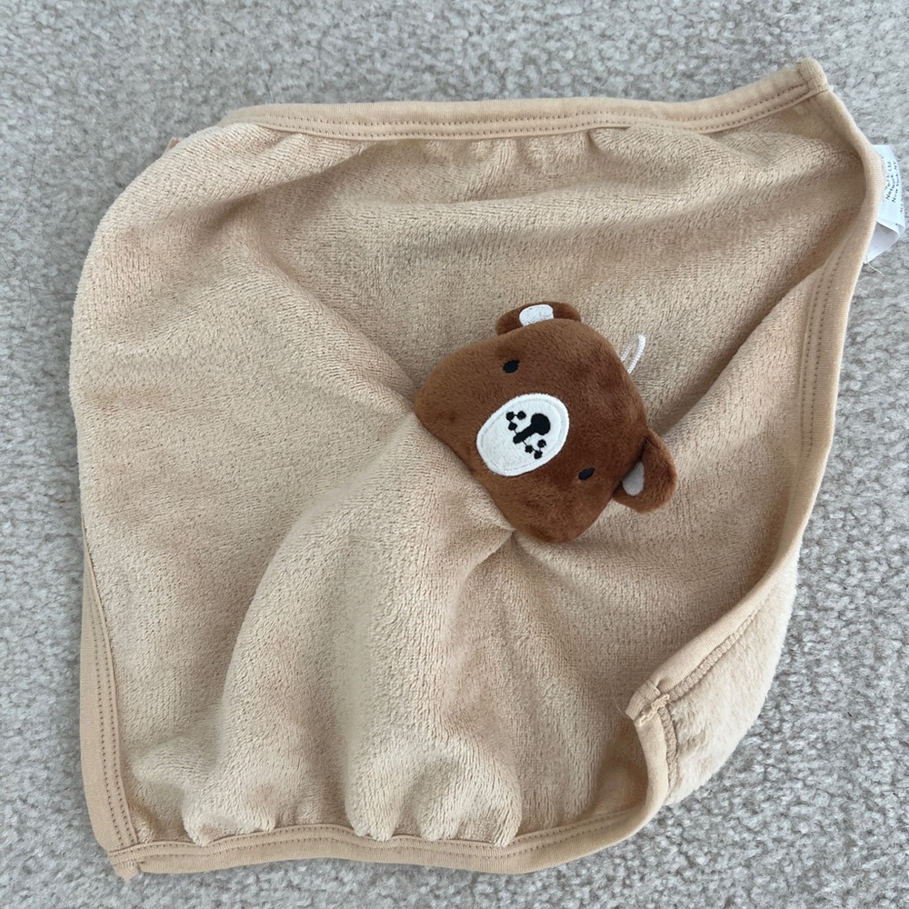 Teddy Bear Blanket